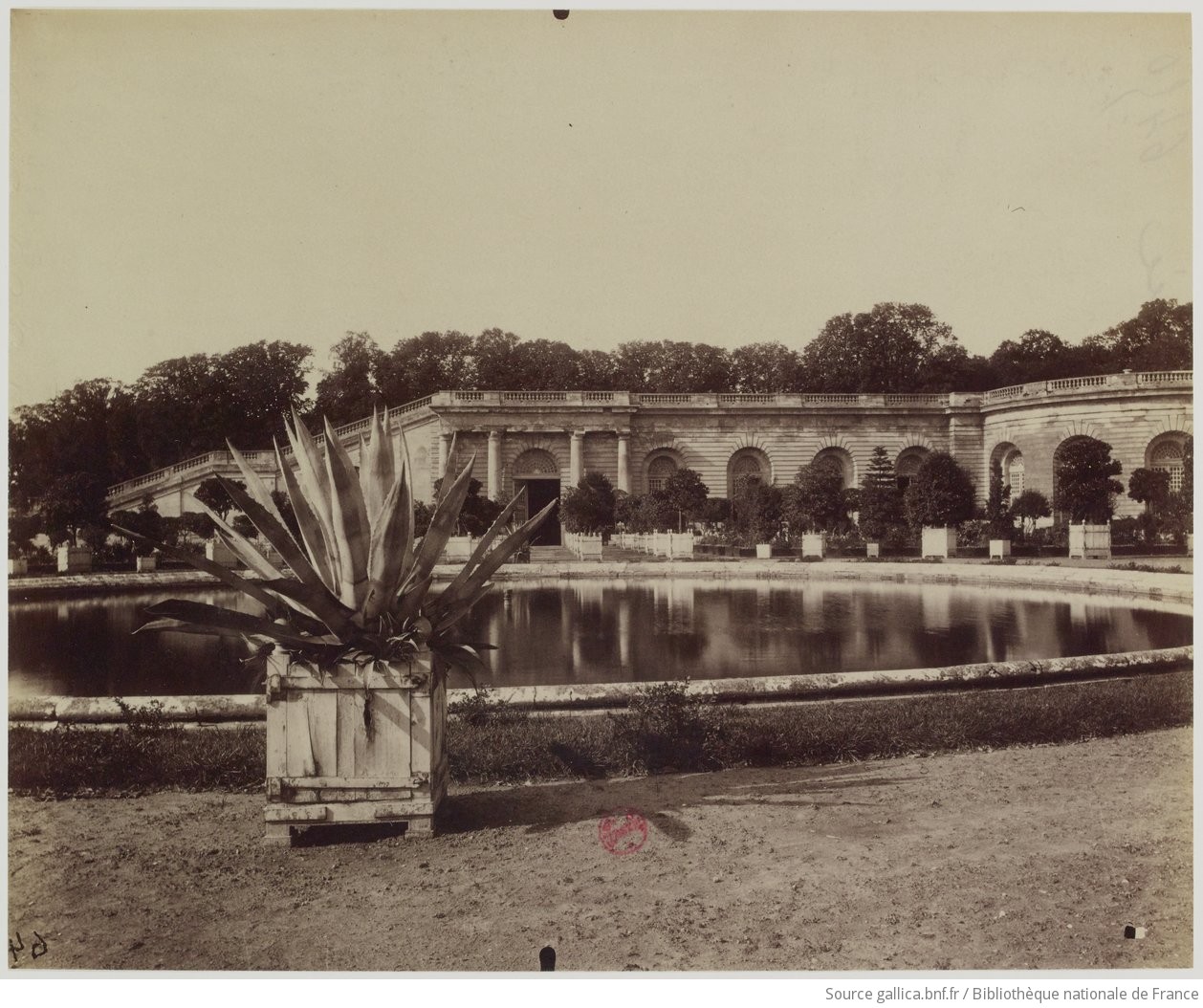 Versailles : L'Orangerie : [photographie] / [Atget]