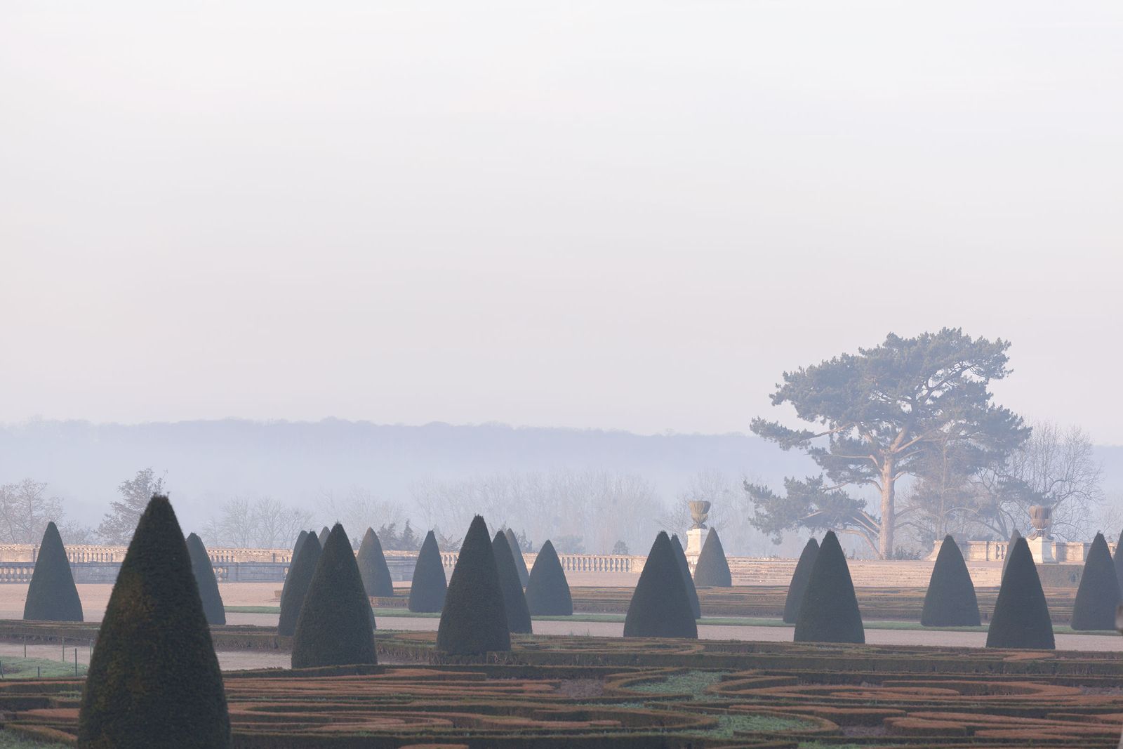 Décembre 29 -