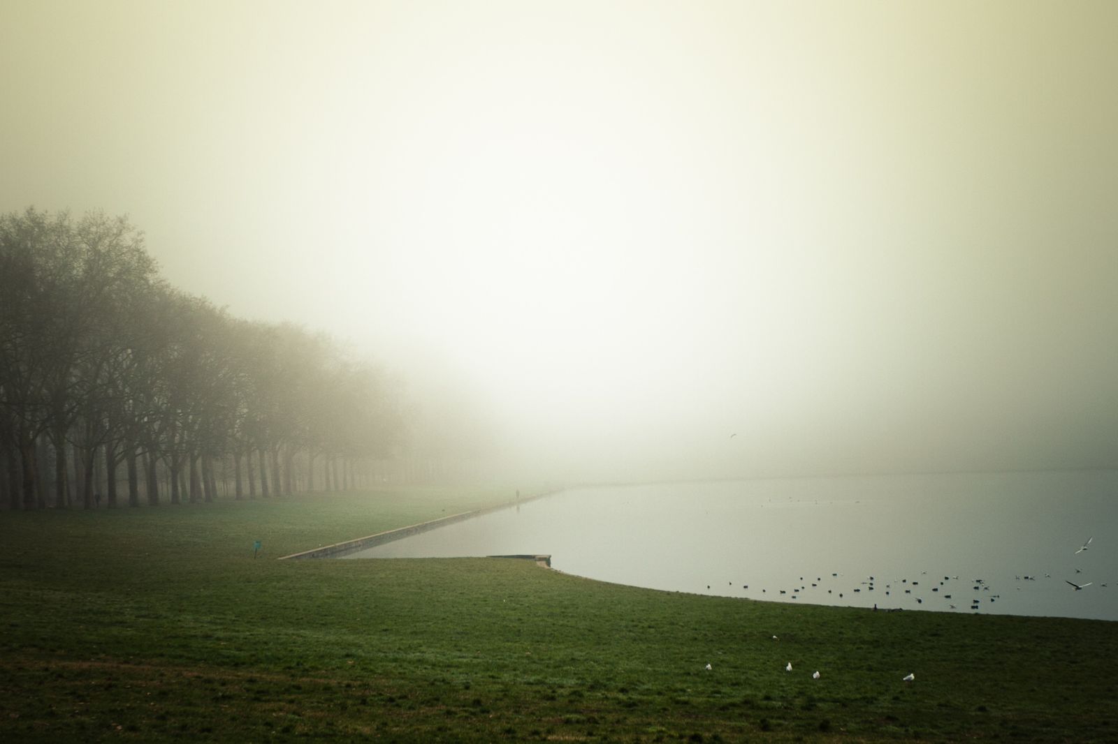 jardins de versailles