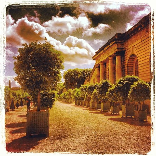 Orangerie