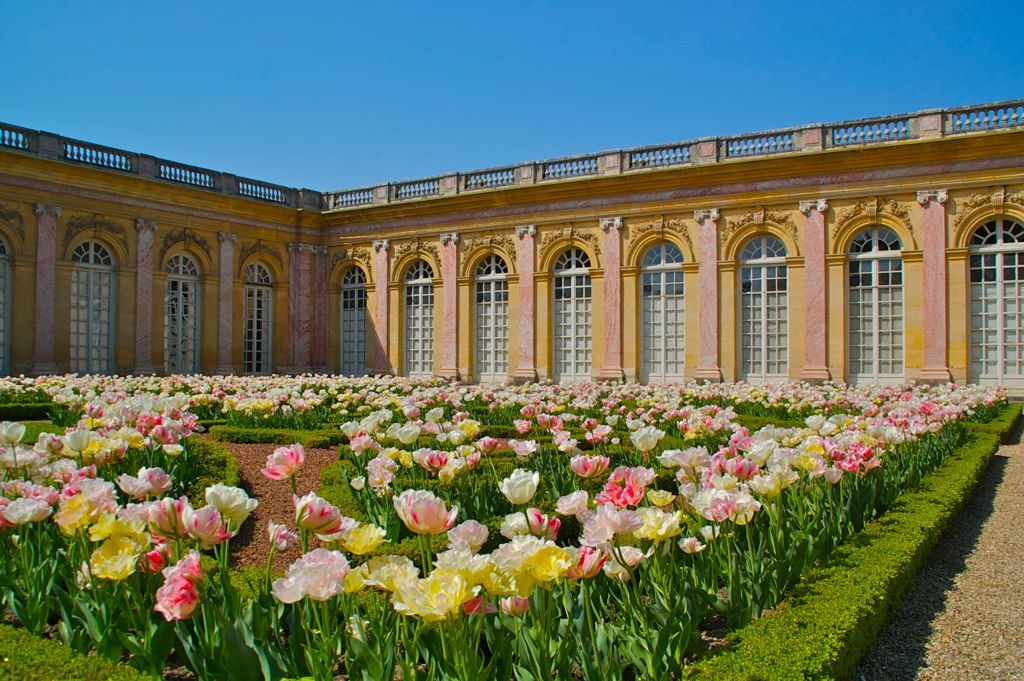 Le grand Trianon et son parterre de tulipe