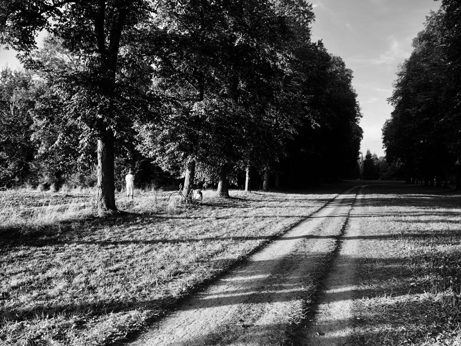 andrelenotre.com franck gintrand8